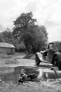 Country Lane at St Kew, 1950s (Card)